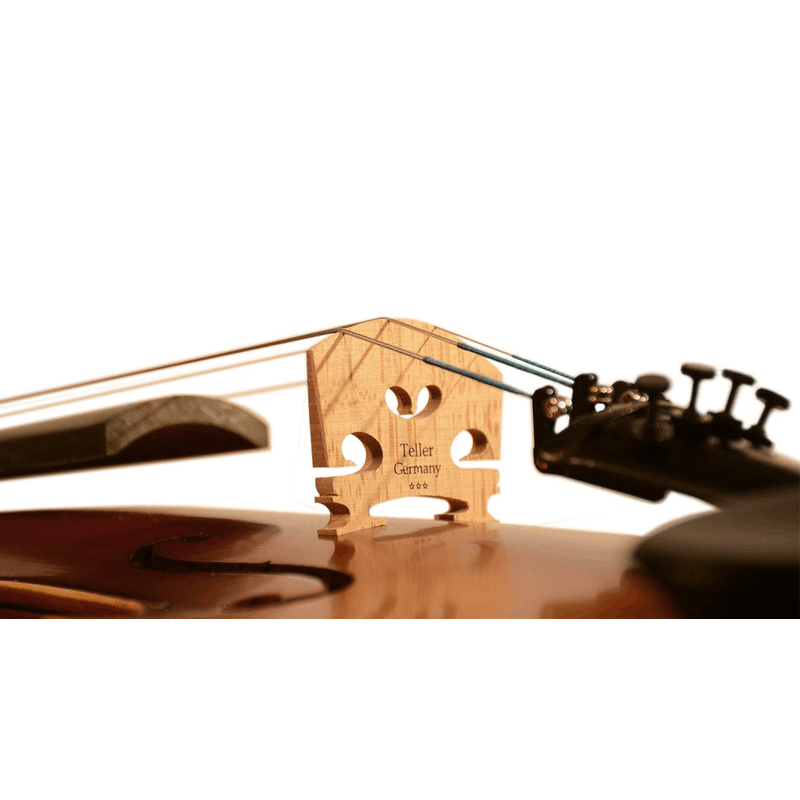 ویولن تی اف مدل 142 سایز 4/4